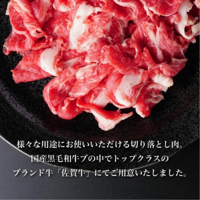 【毎月定期便】佐賀牛切り落とし 1kg(500g×2パック)(大町町)全12回