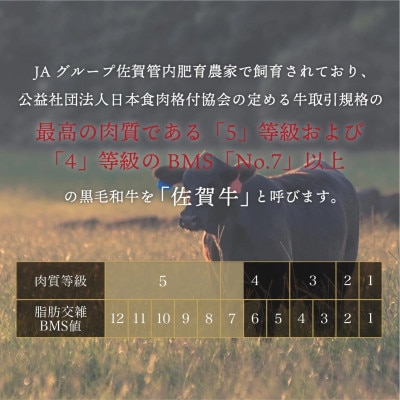【毎月定期便】佐賀牛ハンバーグ 150g×12個(大町町)全12回