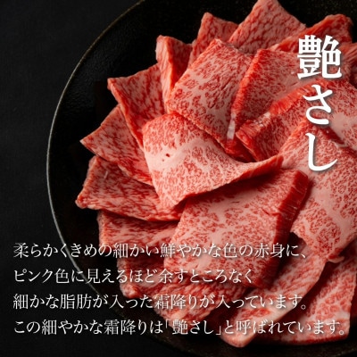 【毎月定期便】佐賀牛はしっこちゃん(ロース・カルビ) 500g(大町町)全6回