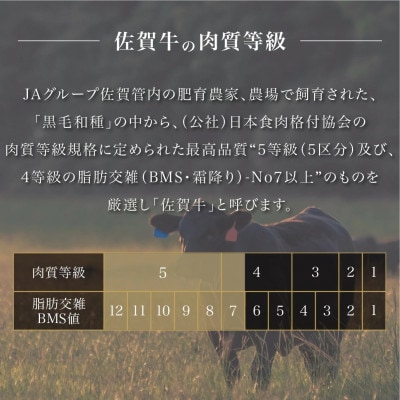 【毎月定期便】佐賀牛はしっこちゃん(ロース・カルビ) 500g(大町町)全6回