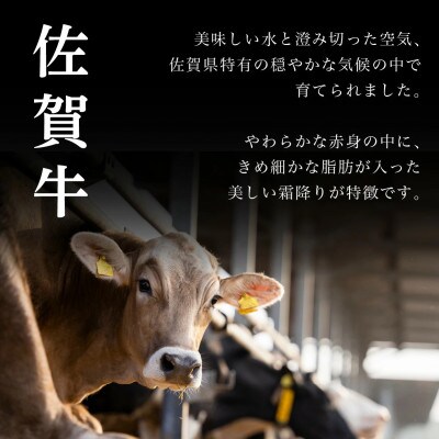 【毎月定期便】佐賀牛はしっこちゃん(ロース・カルビ) 500g(大町町)全12回