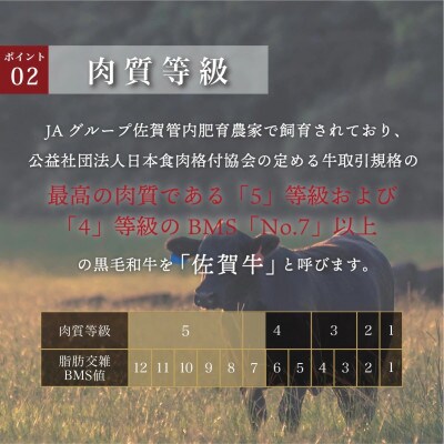 【毎月定期便】佐賀牛はしっこちゃん(ロース・カルビ) 500g(大町町)全12回