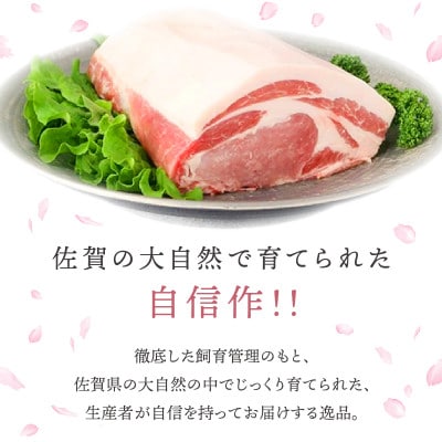 肥前さくらポーク ローススライス 1300g 06ff-0021(大町町)