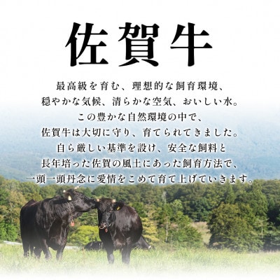 艶さし!【A4～A5】佐賀牛切り落とし 1kg(500g×2P)(大町町)