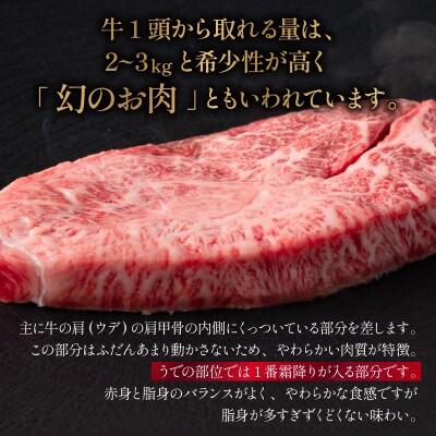 【厳選希少部位】【A4～A5】佐賀牛ミスジステーキ約1kg(100g×10)36mp-037(大町町
