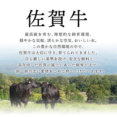 訳あり!【A4～A5】佐賀牛モモブロック　約500g～600g　36mp-027(大町町)