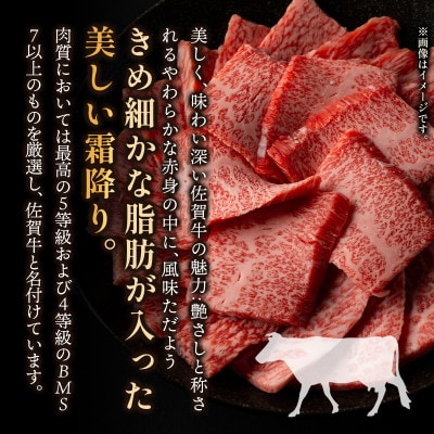訳あり!【A4～A5】佐賀牛モモブロック　約500g～600g　36mp-027(大町町)