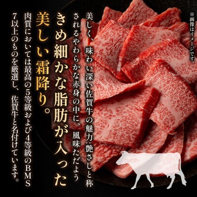 【A4～A5】佐賀牛しゃぶしゃぶすき焼き用(肩ロース・肩バラ・モモ)500g36mp-017(大町町