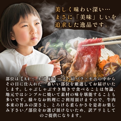 【A4～A5】佐賀牛しゃぶしゃぶすき焼き(肩ロース・肩バラ・モモ)700g 36mp-020(大町町