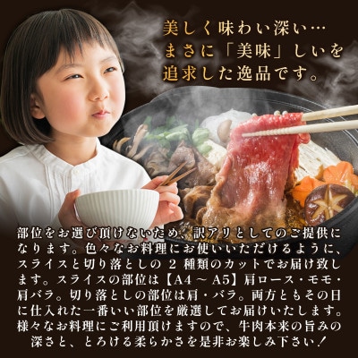訳あり!艶さし!【A4～A5】佐賀牛しゃぶしゃぶすき焼き750gセット　36mp-022(大町町)