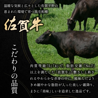 【厳選部位】【A4～A5】佐賀牛サーロインしゃぶしゃぶすき焼き用600g　36mp-014(大町町)