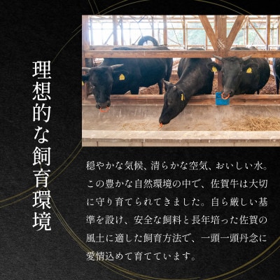 【厳選部位】【A4～A5】佐賀牛サーロインしゃぶしゃぶすき焼き用600g　36mp-014(大町町)