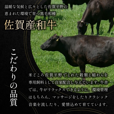 訳あり!佐賀産和牛切り落とし　1.2kg(600g×2p)　36mp-040(大町町)