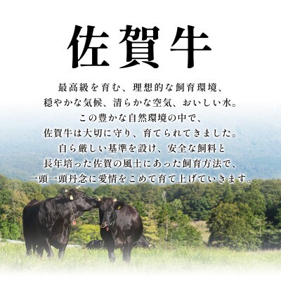 訳あり!【A4～A5】佐賀牛切り落とし　5kg(500g×10p)　36mp-009(大町町)