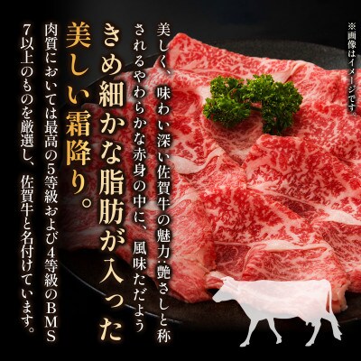 訳あり!【A4～A5】佐賀牛切り落とし　5kg(500g×10p)　36mp-009(大町町)