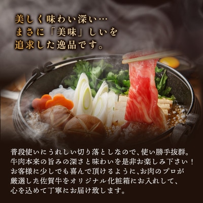訳あり!【A4～A5】佐賀牛切り落とし　5kg(500g×10p)　36mp-009(大町町)