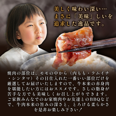 艶さし!【A4～A5】佐賀牛赤身モモ焼肉用　500g　36mp-003(大町町)
