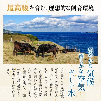 訳あり!艶さし!【A4～A5】佐賀牛焼肉切り落とし(肩ロース・バラ)1kg36mp-011(大町町)
