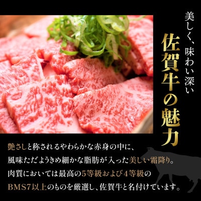 訳あり!艶さし!【A4～A5】佐賀牛焼肉切り落とし(肩ロース・バラ)1kg36mp-011(大町町)
