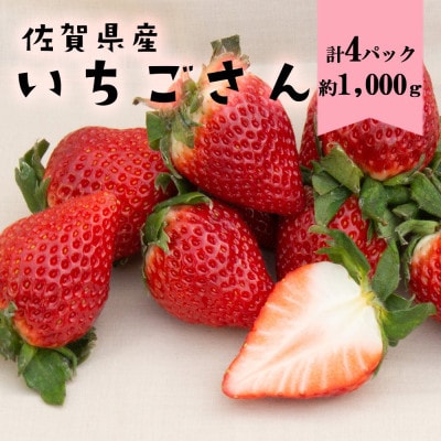 【2026年より順次発送・先行受付】佐賀産 いちごさん4パック(大町町)