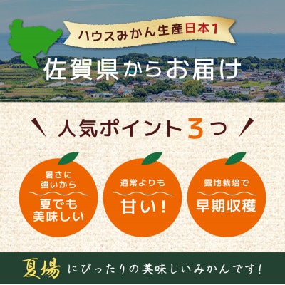 佐賀産ハウスみかん約2kg箱 【41nf-001】