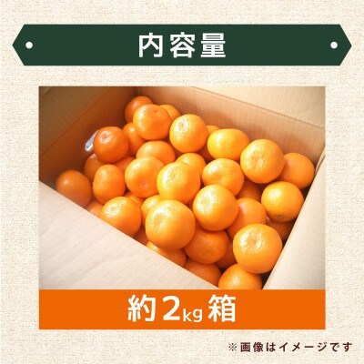 佐賀産ハウスみかん約2kg箱 【41nf-001】