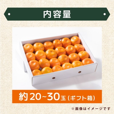 佐賀産ハウスみかんギフト箱 (20-30玉) 【41nf-002】