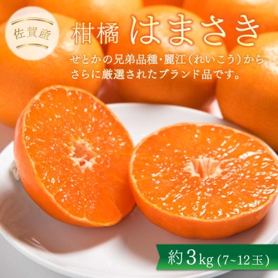 佐賀産柑橘「はまさき」約3kg箱(7-12玉)(大町町)