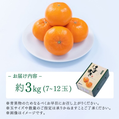 佐賀産柑橘「はまさき」約3kg箱(7-12玉)(大町町)