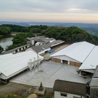 佐賀県産黒毛和牛ヒレステーキ380g(大町町)