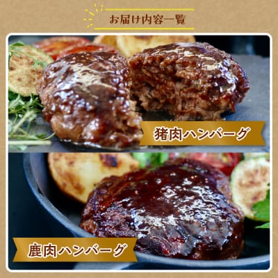 呉ジビエ味わいセット(ジビエが初めての方におすすめ　ku118-018-r