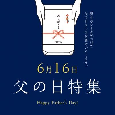【父の日までにお届け】飛騨牛 干し肉ビーフジャーキー 30g×10箱【57-2f】