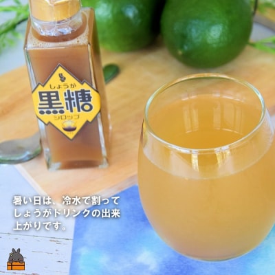 徳之島産しょうが100%使用!体ぽかぽか!しょうが黒糖シロップ(100ml×2本)