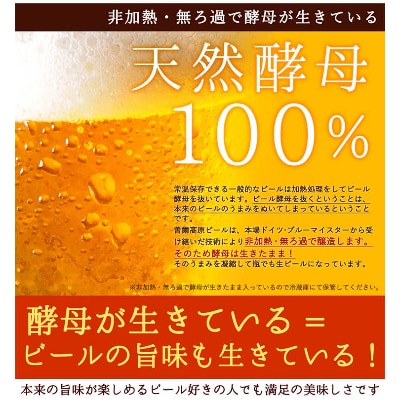 【平成の名水百選のお水で醸造】曽爾高原ビール12本セット