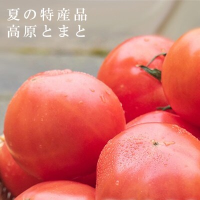 ご自宅チューハイ トマト焼酎セット(米焼酎720ml+100%トマトジュース1000mlセット)