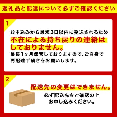 【28日決済分迄年内発送】キリン一番搾り生ビール＜北海道千歳工場産＞350ml(24本)10ケース