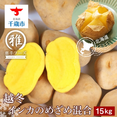 【2027年1月以降発送】越冬インカのめざめ混合(S～2L混合)約15kg