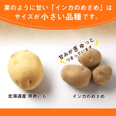 【2027年1月以降発送】越冬インカのめざめ混合(S～2L混合)約15kg