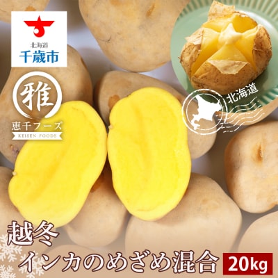 【2027年1月以降発送】越冬インカのめざめ混合(S～2L混合)約20kg