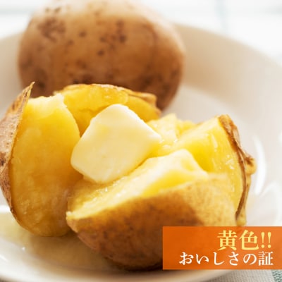 【2027年1月以降発送】越冬インカのめざめ混合(S～2L混合)約20kg