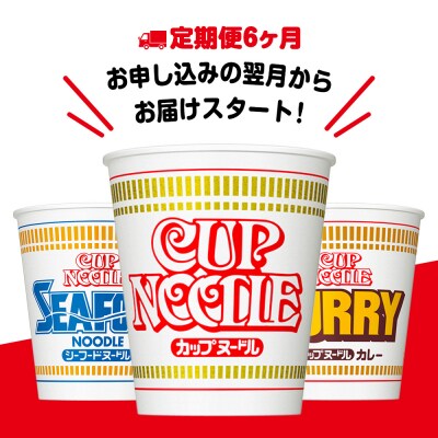 【定期便6か月】日清ヌードル3種セット 各1箱(20食)合計3箱