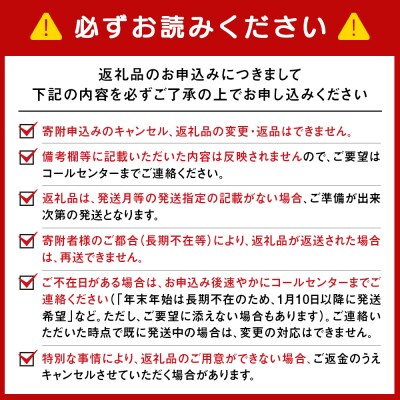 【頒布会12か月】日清　カップヌードルシリーズ20個入