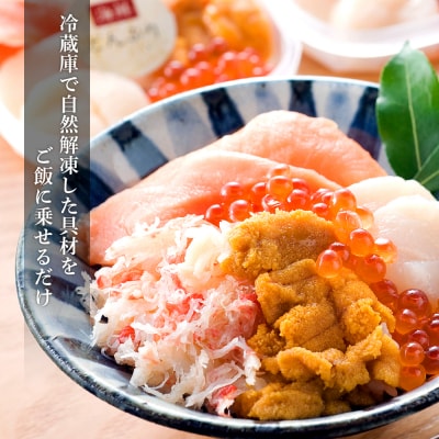 【定期便 全6回】北海道といえば!海鮮丼の具 60g×4個セット