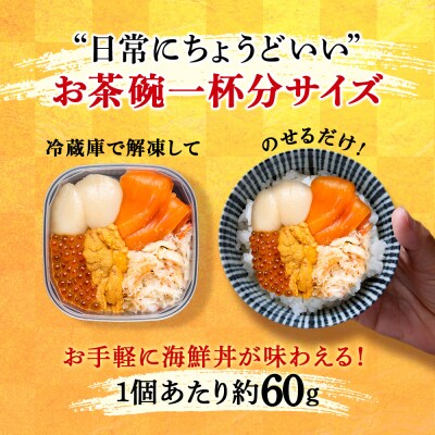 【定期便 全6回】北海道といえば!海鮮丼の具 60g×4個セット