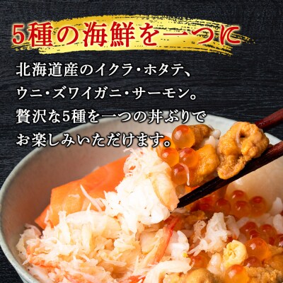【定期便 全6回】北海道といえば!海鮮丼の具 60g×4個セット