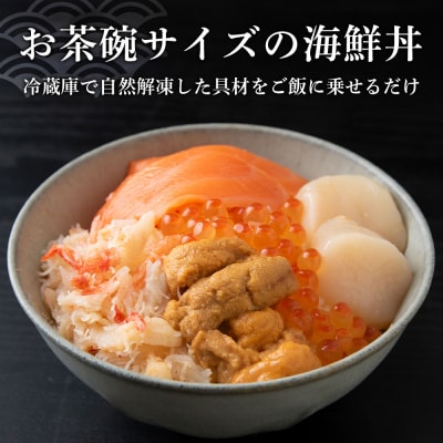 【定期便 全3回】北海道といえば!海鮮丼の具 60g×4個セット