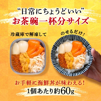 海鮮丼 具 60g×8 丼ぶり 刺身 海鮮セット 【北海道】【札幌バルナバフーズ】