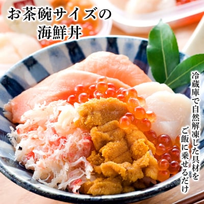 海鮮丼 具 60g×16 丼ぶり 刺身 海鮮セット 【北海道】【札幌バルナバフーズ】