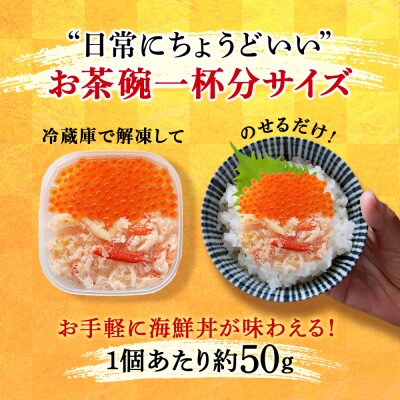 彩り海鮮丼 具 50g×2 丼ぶり 刺身 海鮮セット 【北海道】【札幌バルナバフーズ】