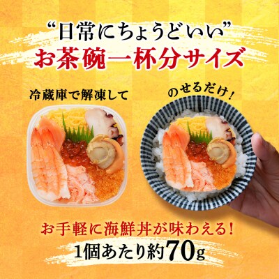 海鮮丼 具 70g×12 7種 12個セット 魚介類 海の幸 七福丼【北海道】【札幌バルナバフーズ】